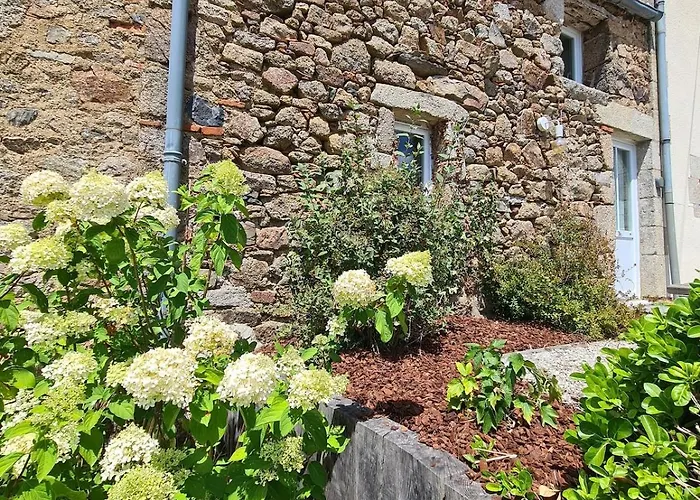 Authentique Avec Mezzanine Proche Du Puy Dufou *